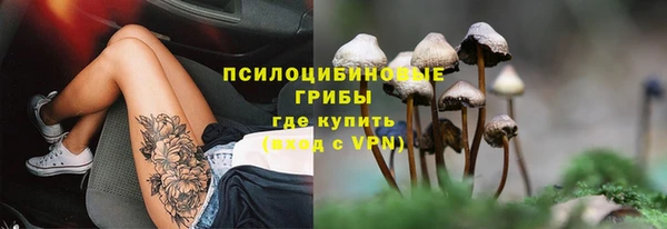 гидропоника Алексеевка